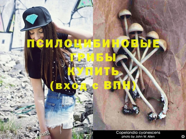 дживик Алзамай