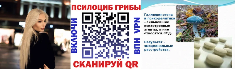 kraken ТОР  купить наркоту  Новоульяновск  Галлюциногенные грибы Cubensis 